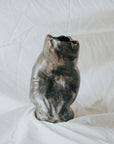 Example product 2